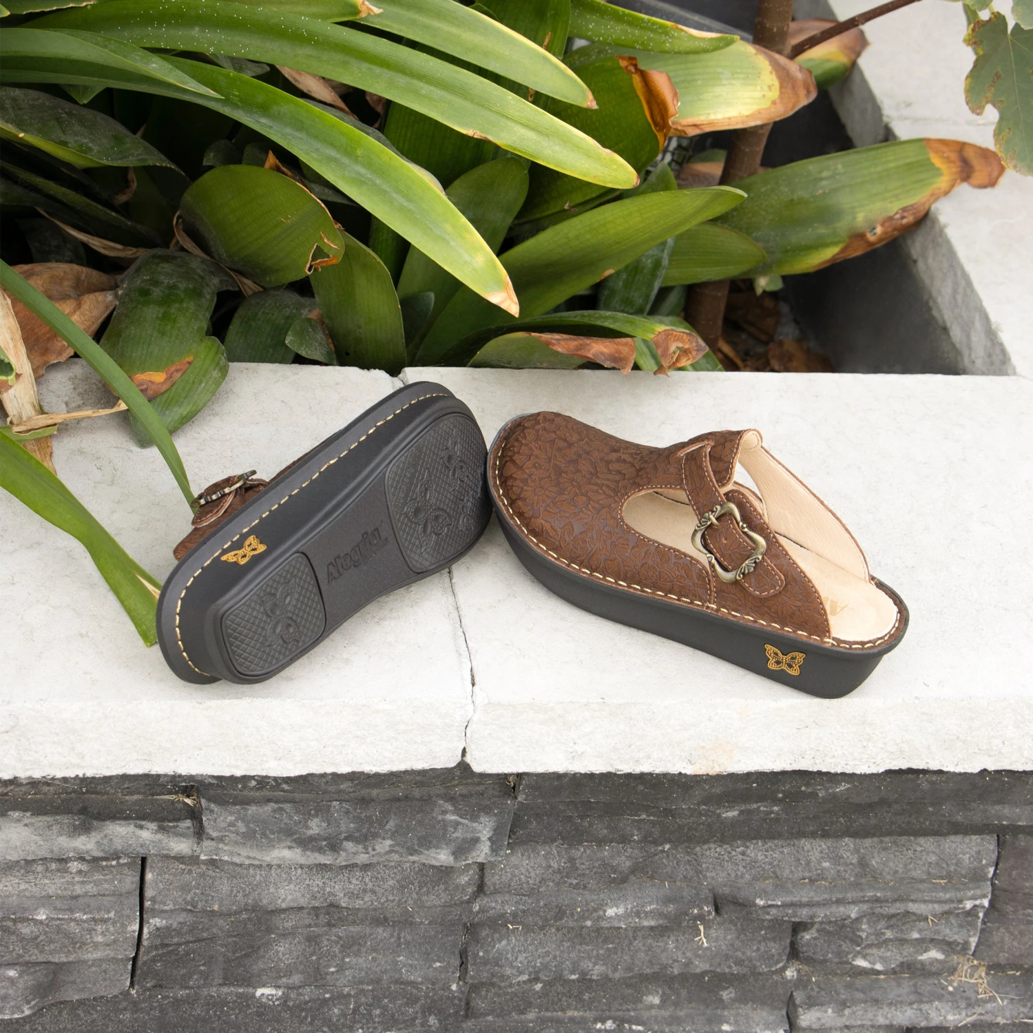 Shoes Classic Delicut Tawny Shoe 2 Shoes Classic Delicut Tawny Shoe - Image 2