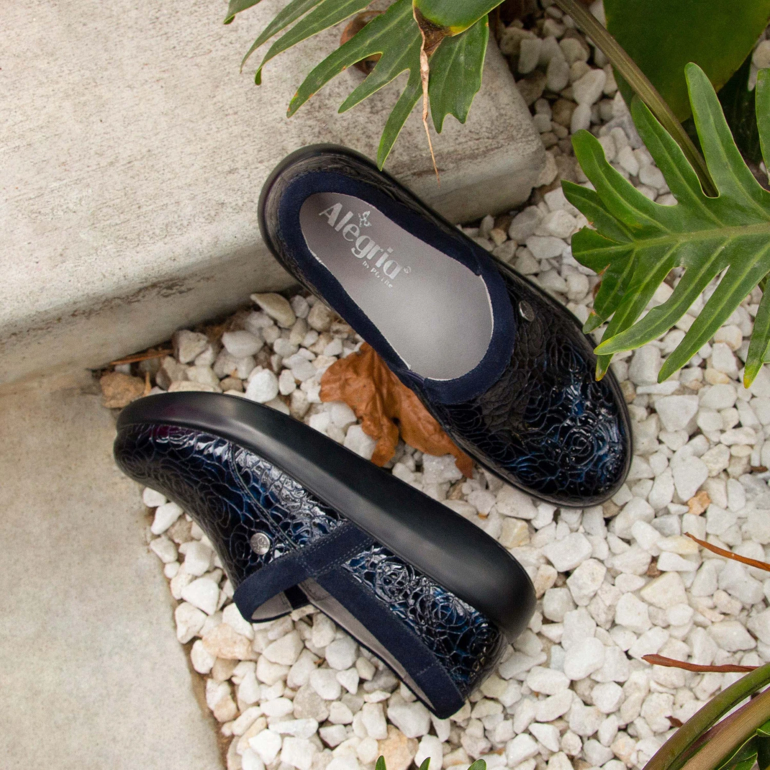 Shoes Emry Moody Blues Shoe 2 Shoes Emry Moody Blues Shoe - Image 2