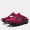 Shoes Classic Magenta Shoe