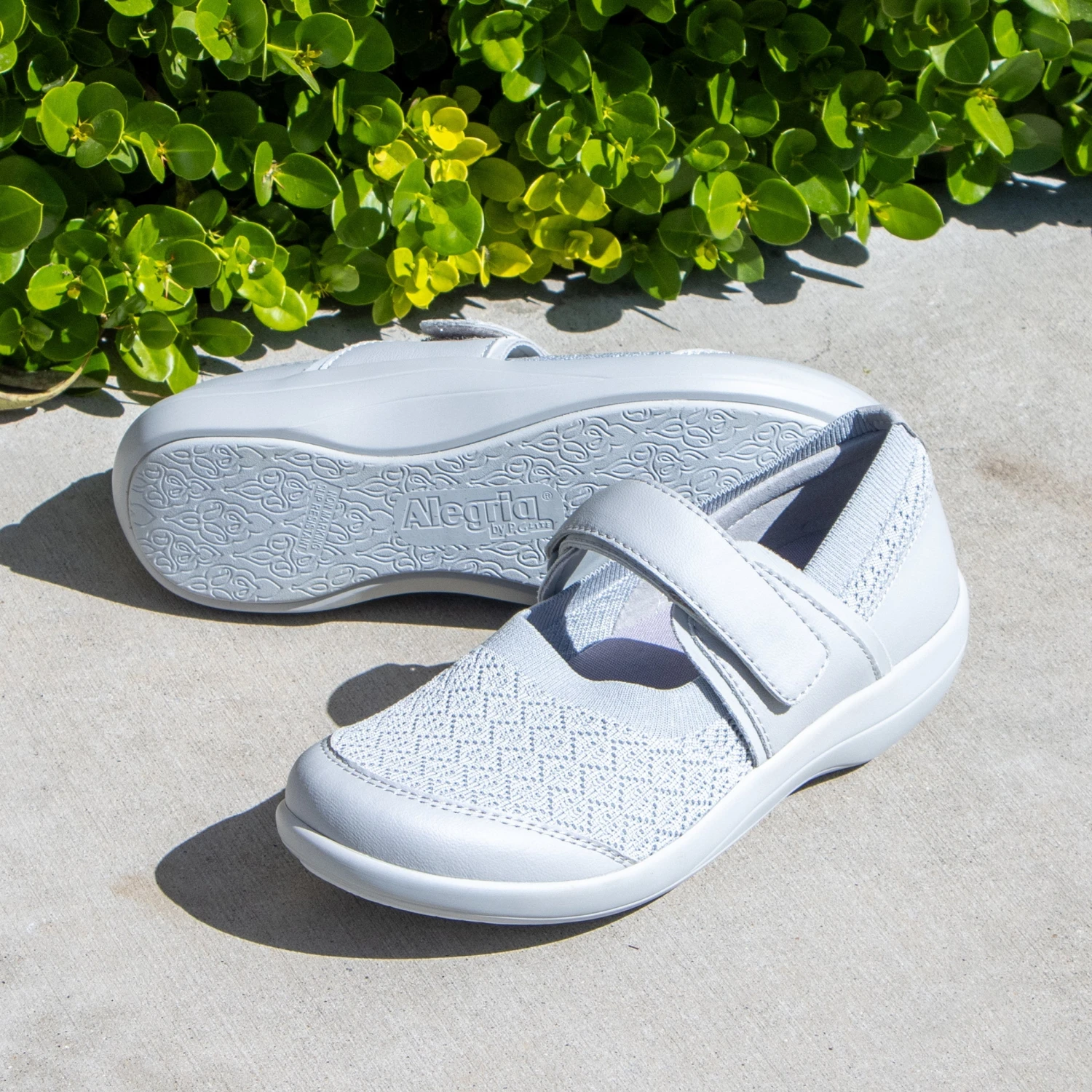 Shoes Dinamo Dove Shoe 2 Shoes Dinamo Dove Shoe - Image 2