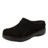 Shoes Kyah Black Suede Shoe